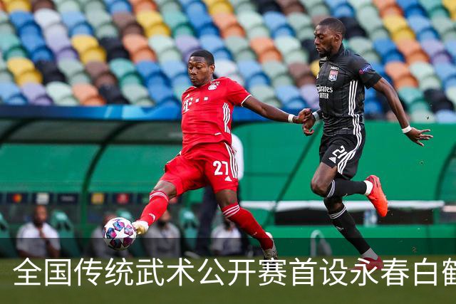 全国传统武术公开赛首设永春白鹤拳赛区 海内外选手以“拳”会友
